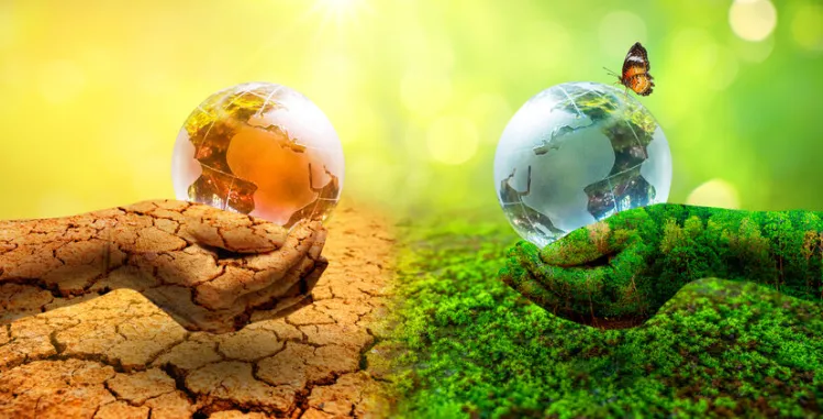 The Economy of Sustainable Development 1